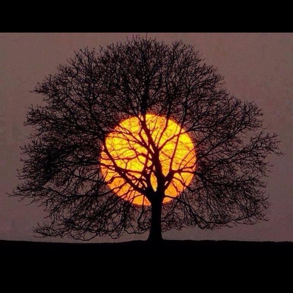 Meet your Posher, Rocio - Picture 1 of 1